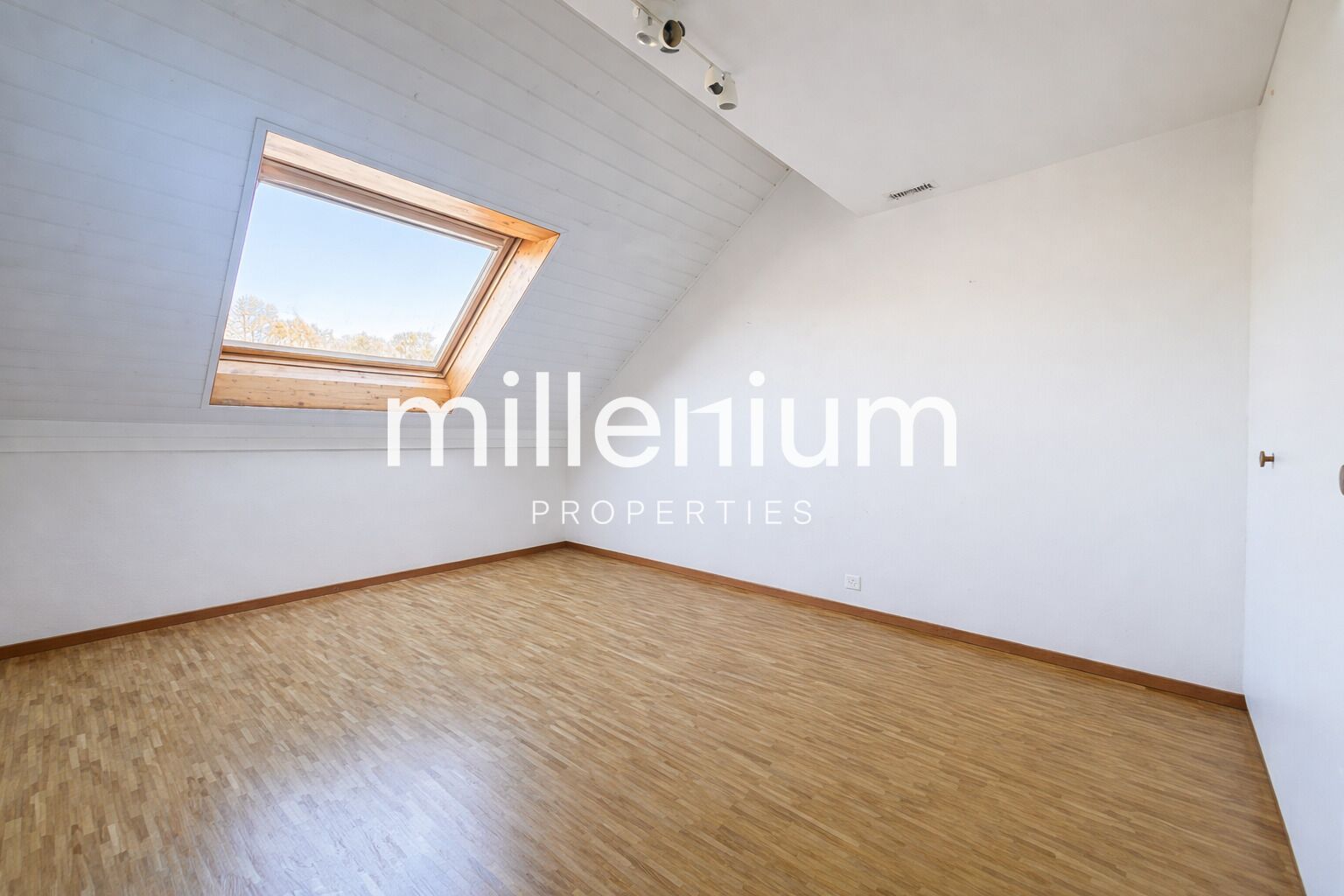 Magnifique duplex avec vue imprenable sur le lac à Nyon