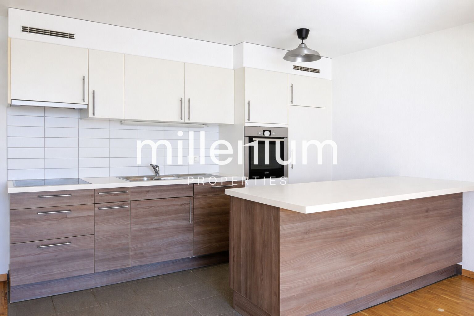 Magnifique duplex avec vue imprenable sur le lac à Nyon