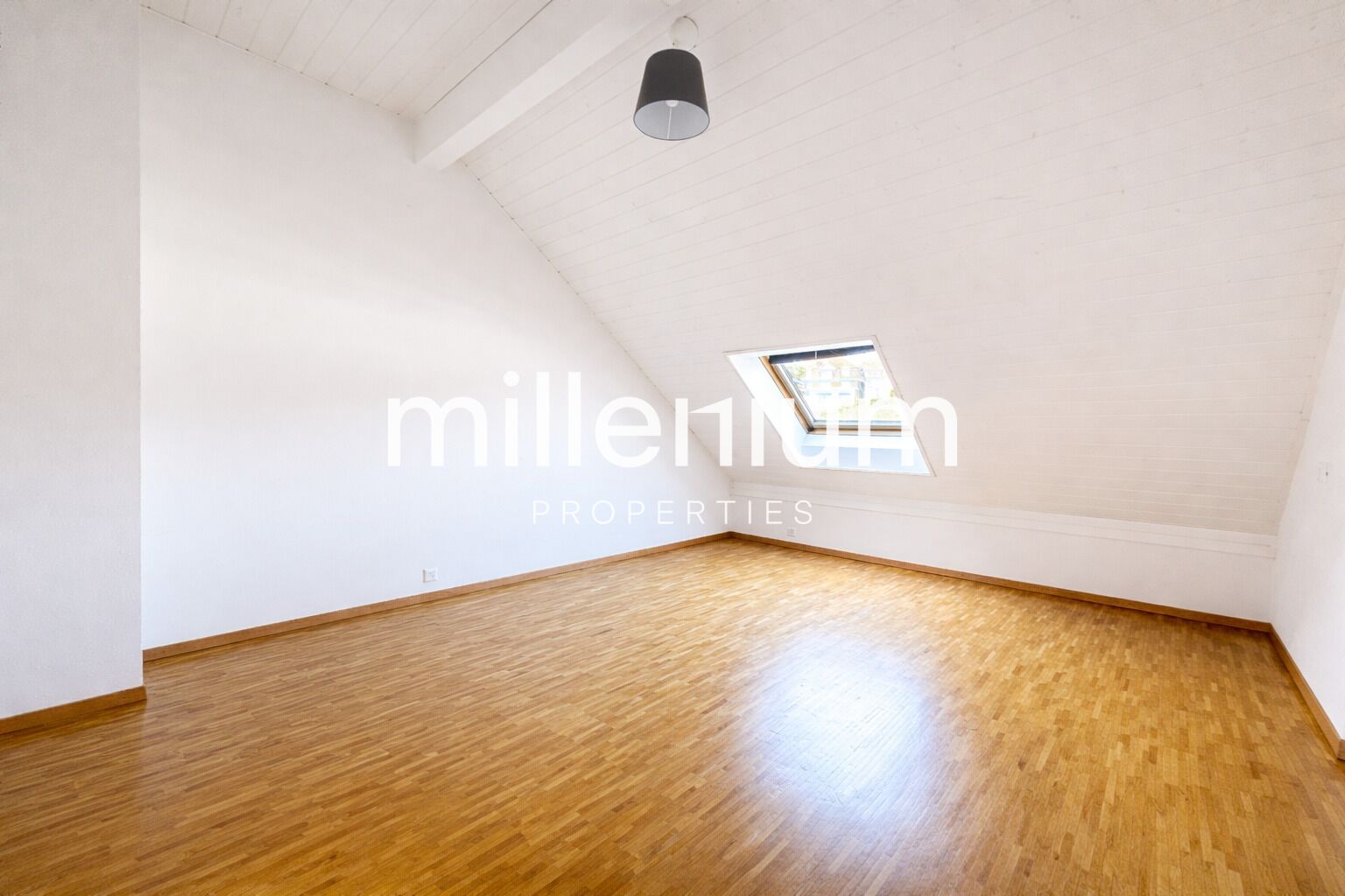 Magnifique duplex avec vue imprenable sur le lac à Nyon