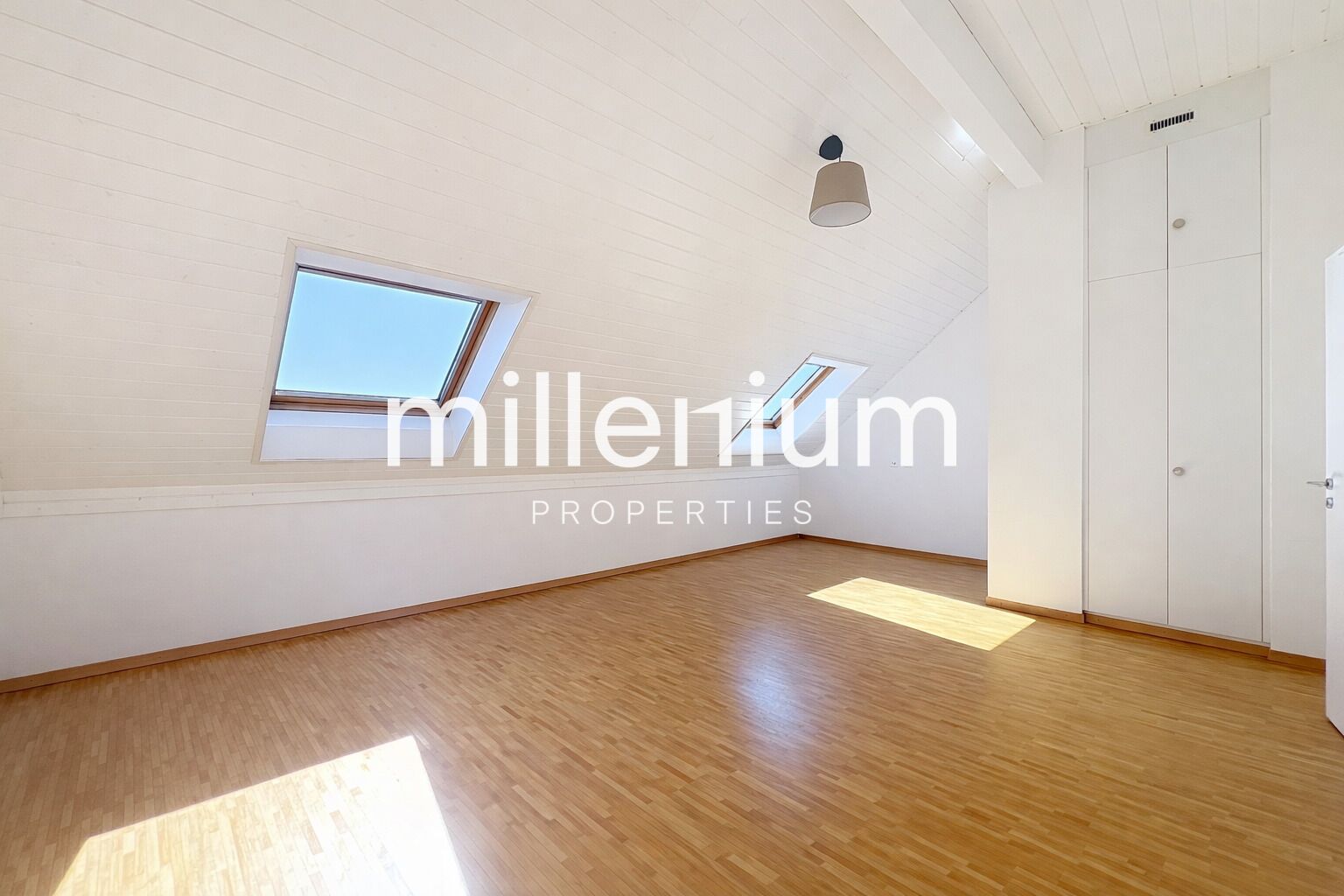 Magnifique duplex avec vue imprenable sur le lac à Nyon