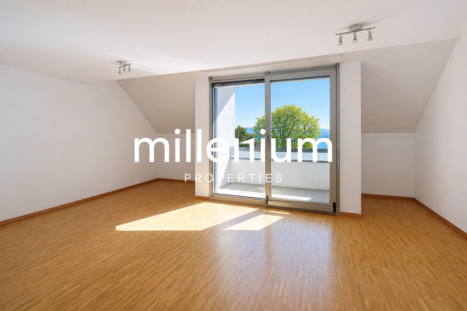 Magnifique duplex avec vue imprenable sur le lac à Nyon