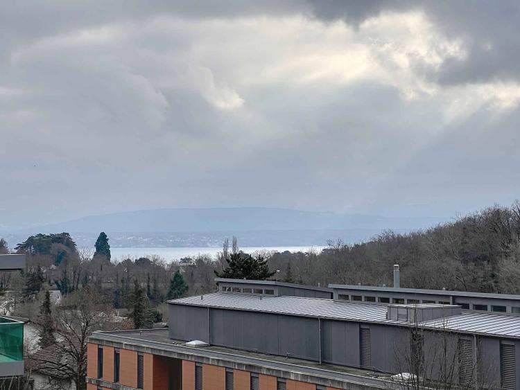 Charmant appartement de 3,5 pièces entièrement rénové 